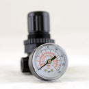 1/4" Dynamic Seal Regulator